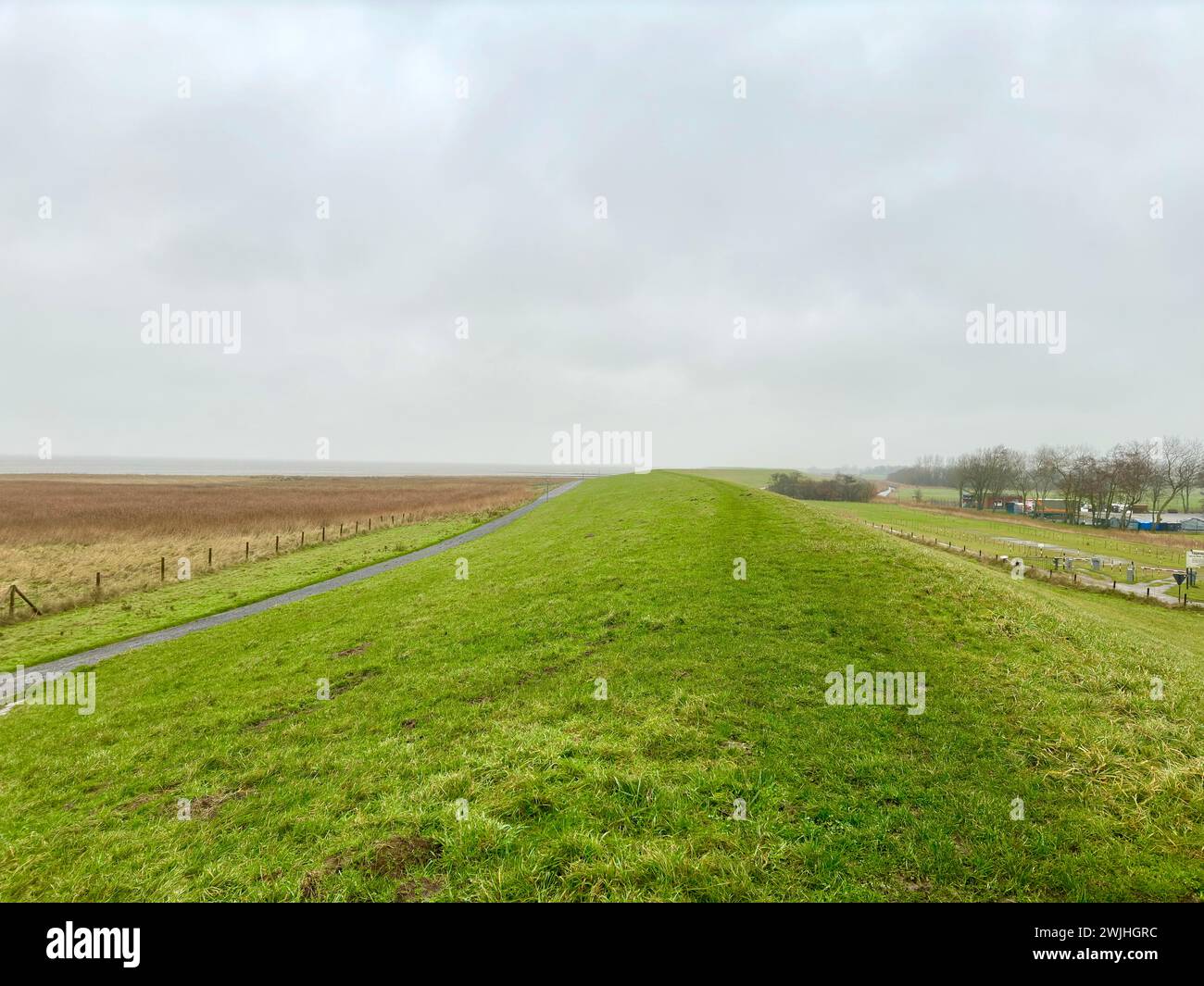 The Nordsee dike (Deich) in Germany, surrounded by green grass in winter, with cold wind Stock Photo