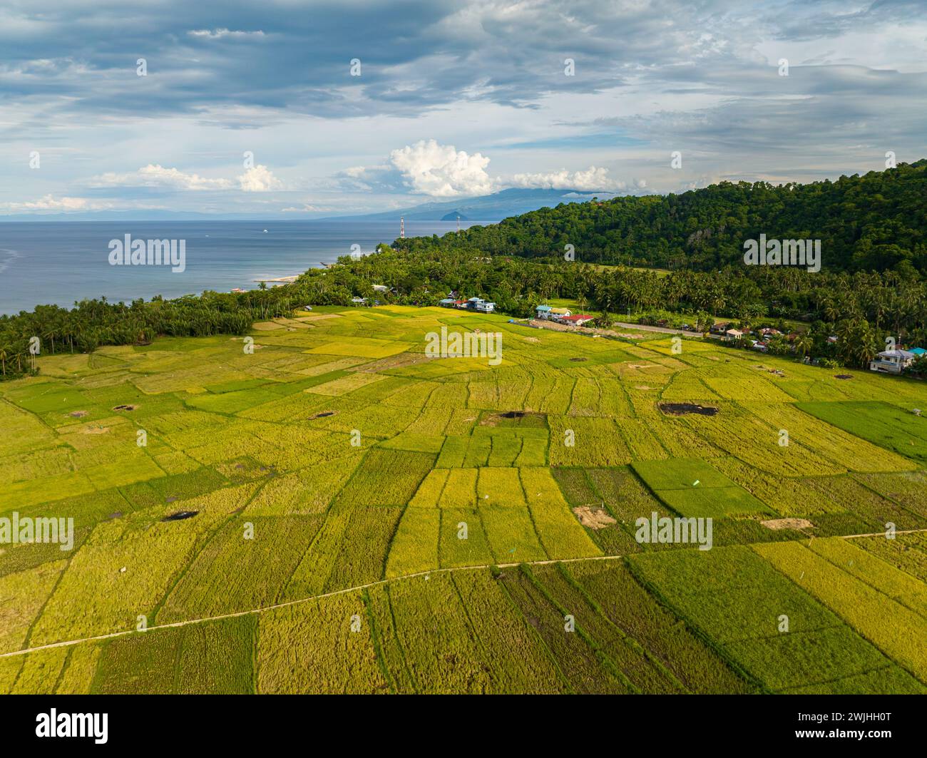 Coastline with agricultural farm with rice fields in Camiguin Island ...