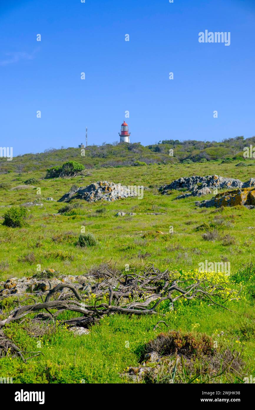 Robben Island, prison island near Cape Town, Cape Town, Western Cape, South Africa Stock Photo