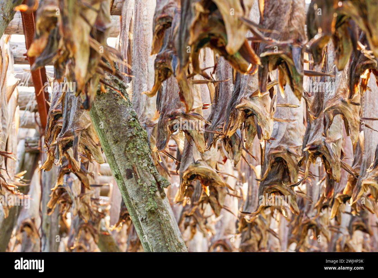 Drying method hi-res stock photography and images - Alamy