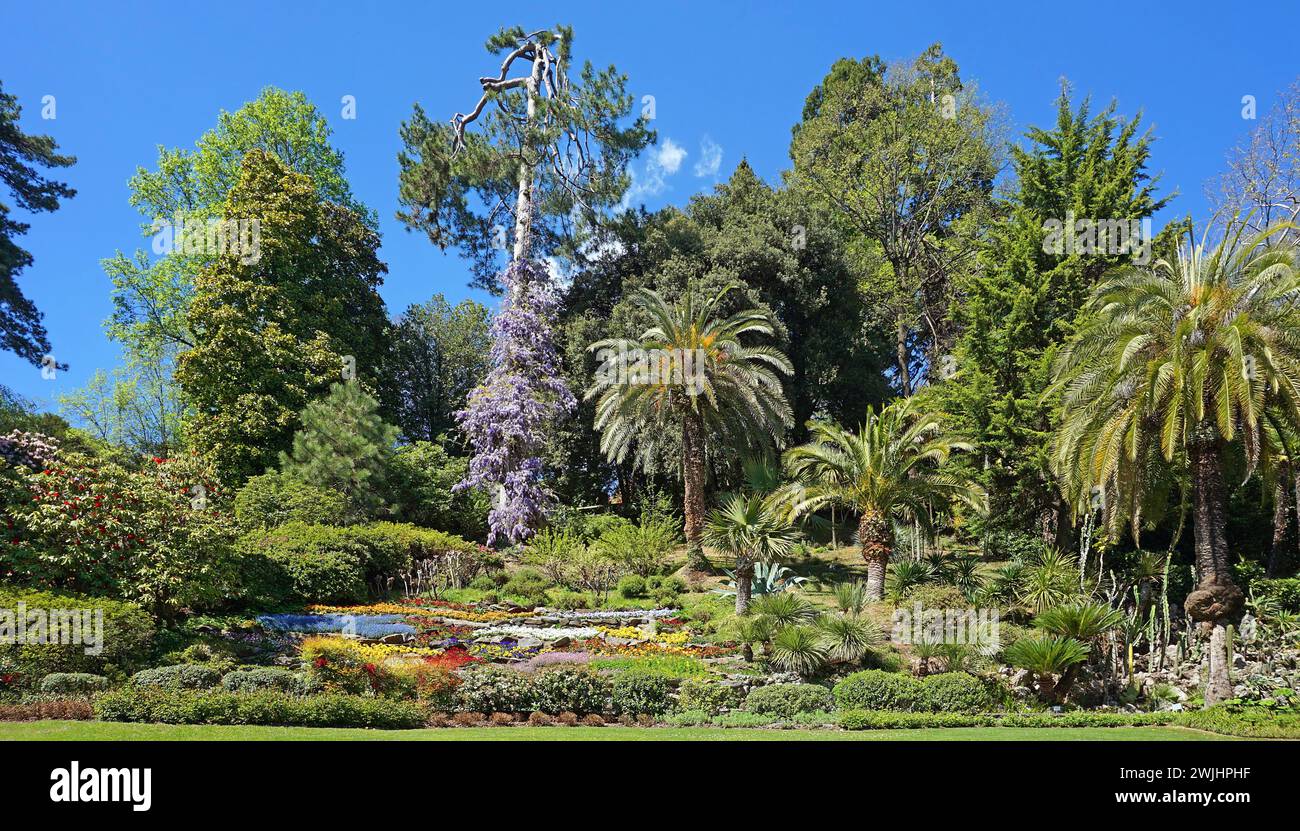 Botanical Garden, Villa Carlotta, Tremezzo, Lago di Como, Lake Como, Lombardy, Italy Stock Photo