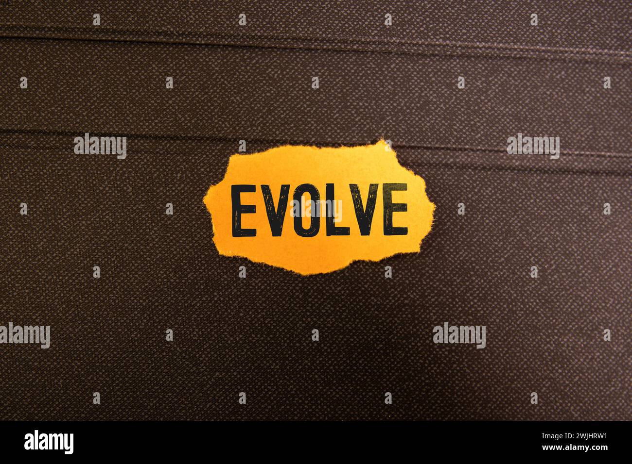 EVOLVE word made with building blocks. Stock Photo