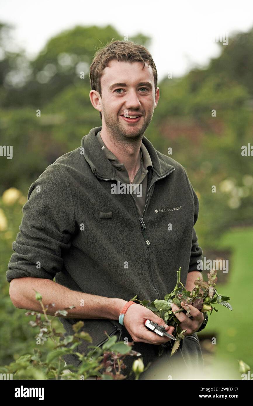 National Trust gardener carrying rose prunings clippings Stock Photo