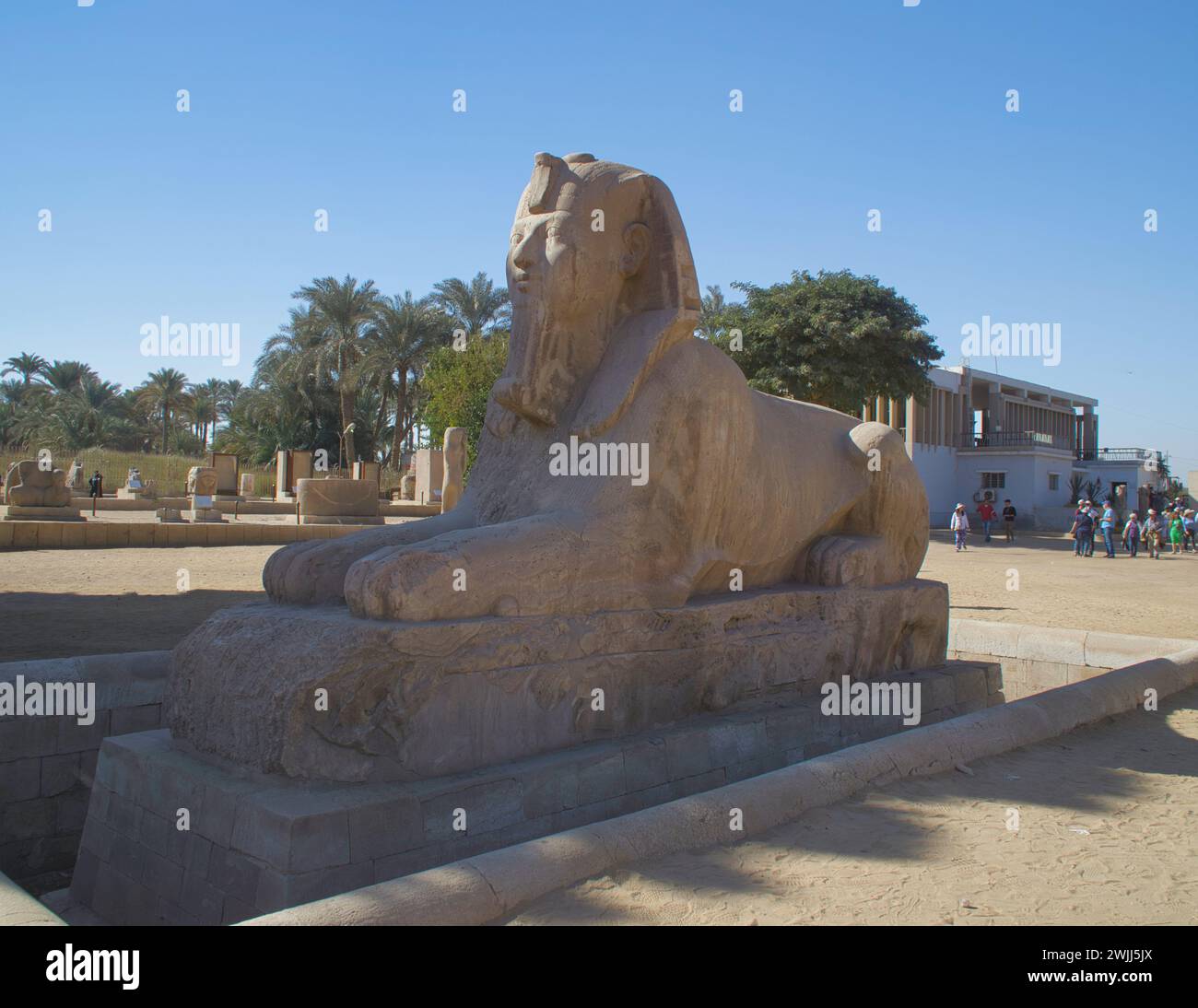 Memphis, Egypt: November 19,2022- The Alabaster sphinx of Memphis (the ...