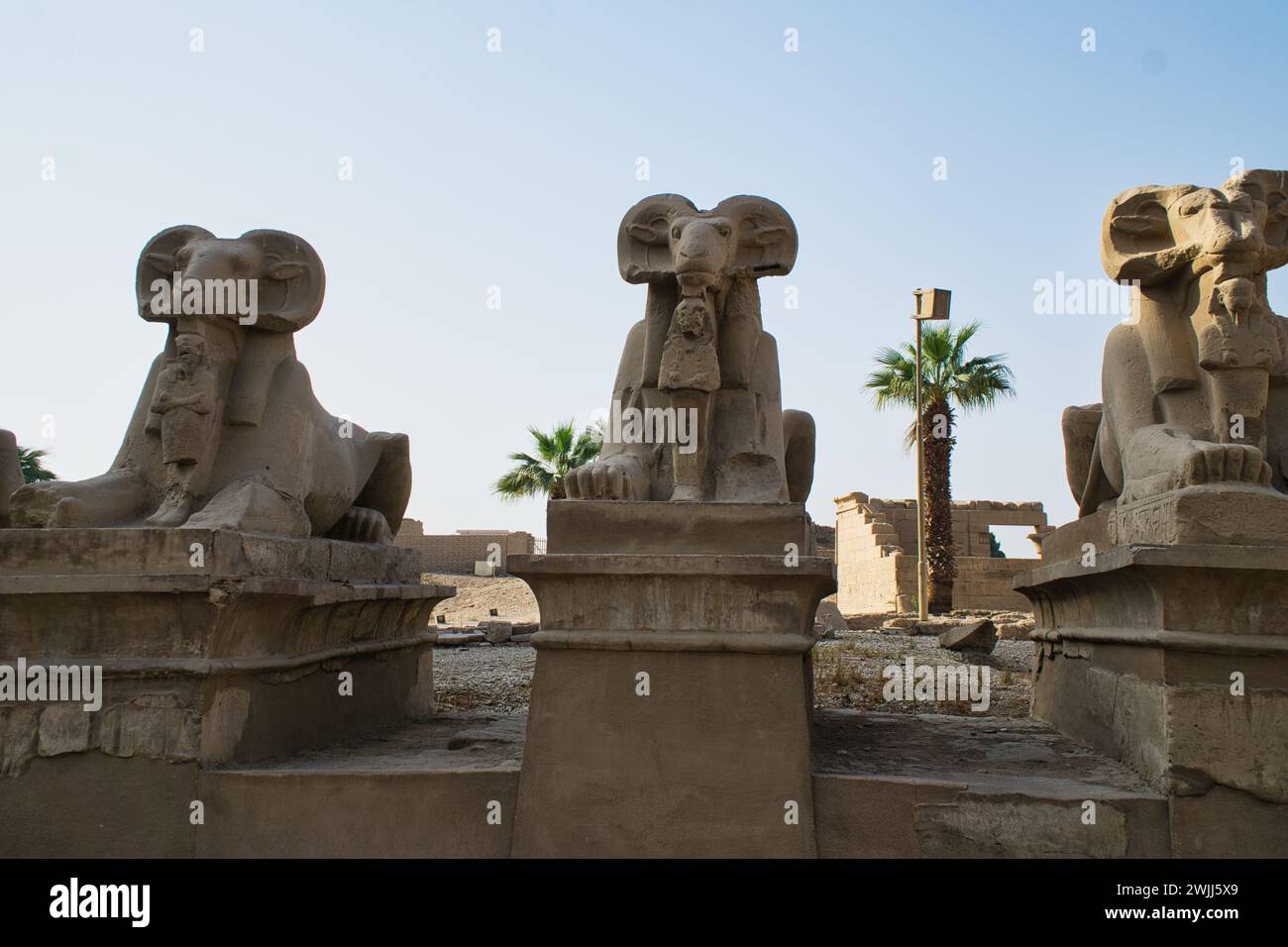 The King’s Festivities Road or Avenue of Sphinxes, ram-headed statues of Karnak Temple, Luxor, Egypt Stock Photo