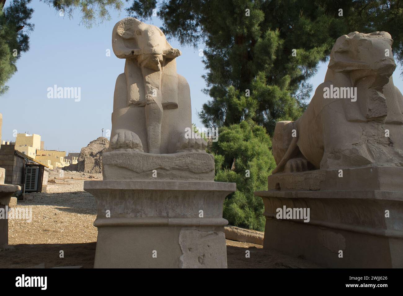 The King’s Festivities Road or Avenue of Sphinxes, ram-headed statues of Karnak Temple, Luxor, Egypt Stock Photo