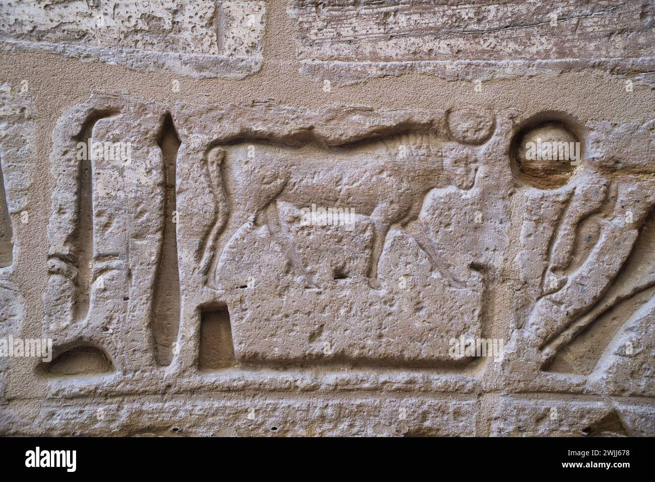 Ancient Egyptian structures, walls, columns, pillar covered colorful ...