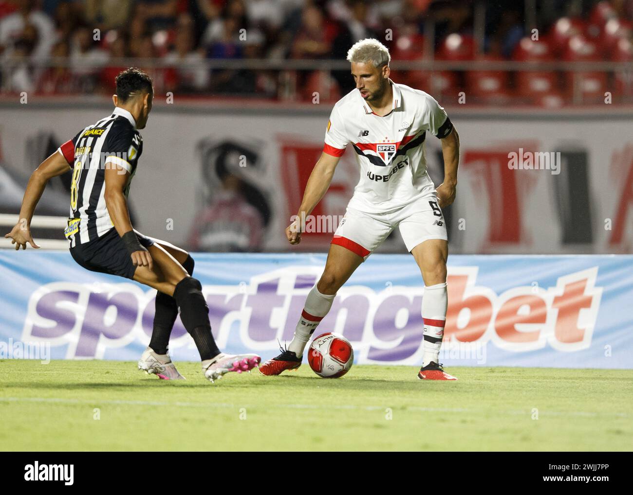 Calleri sao paulo hi-res stock photography and images - Alamy