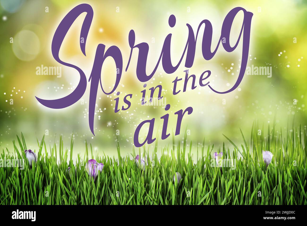 Spring is in the air hi-res stock photography and images - Alamy