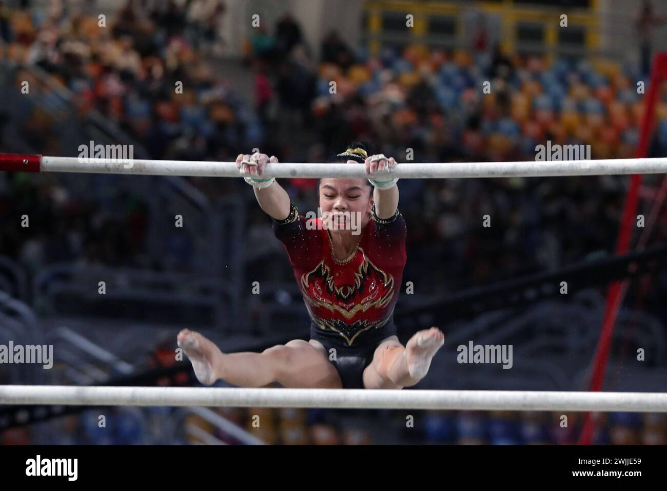 Cairo, Egypt. 15th Feb, 2024. Huang Zhuofan of China competes during