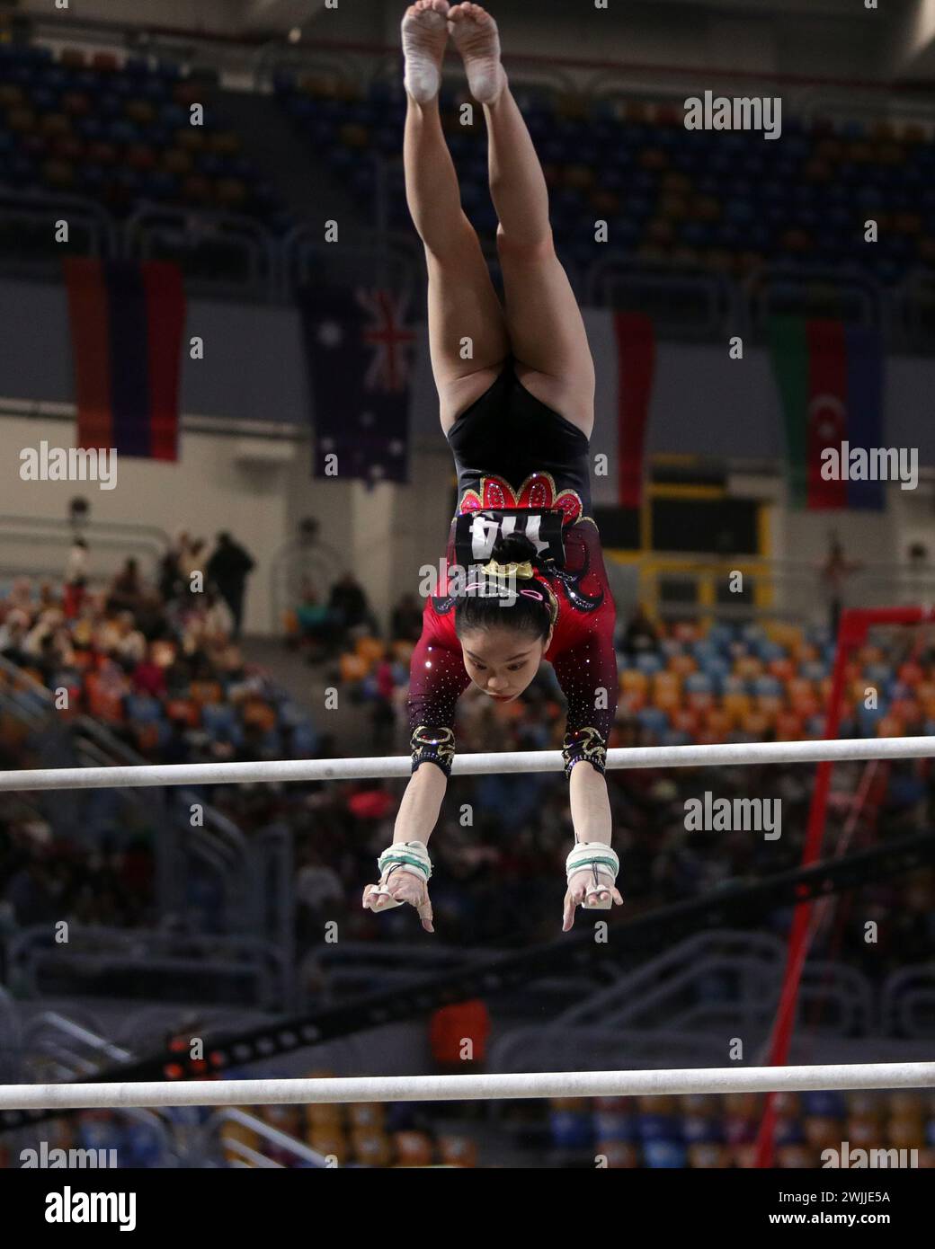 Cairo, Egypt. 15th Feb, 2024. Huang Zhuofan of China competes during