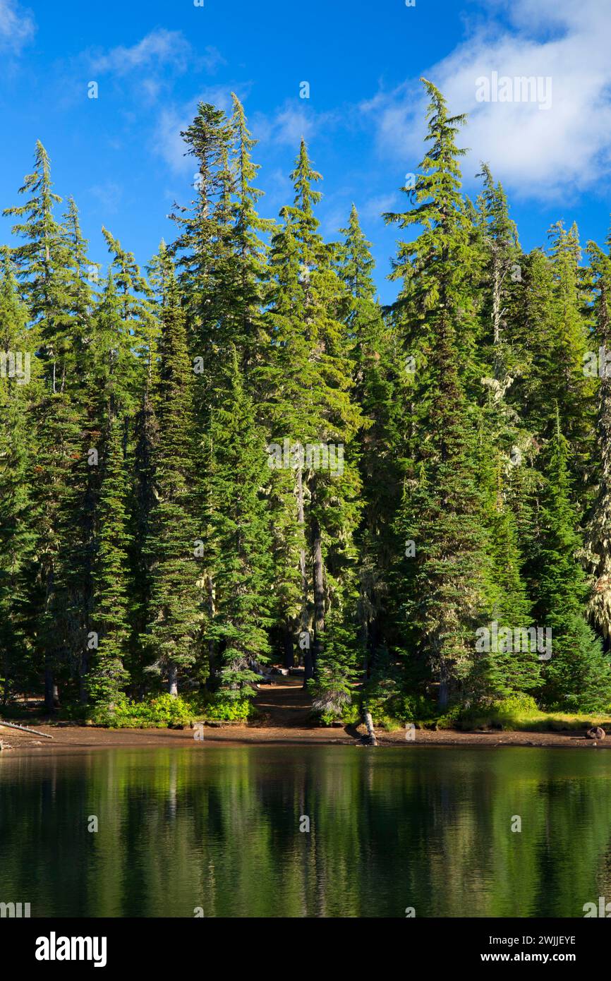 Lava Camp Lake, McKenzie Pass-Santiam Pass National Scenic Byway ...