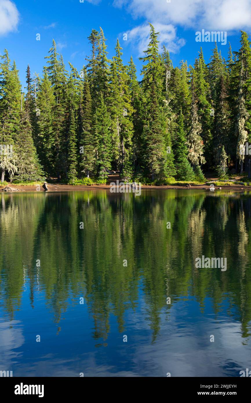 Lava Camp Lake, McKenzie Pass-Santiam Pass National Scenic Byway ...