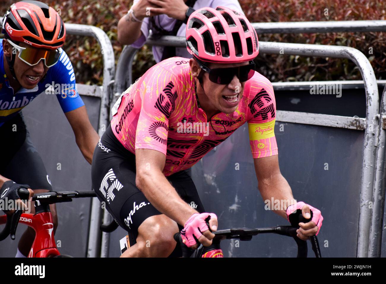 Bogota, Colombia. 10th Feb, 2024. Team Colombia Egan Bernal (Back) and Education First (EF) team Rigoberto Uran (Pink Uniform) during the Tour Colombia 2.1 phase between Villeta and Bogota, Colombia on February 10, 2024. Photo by: Cristian Bayona/Long Visual Press Credit: Long Visual Press/Alamy Live News Stock Photo