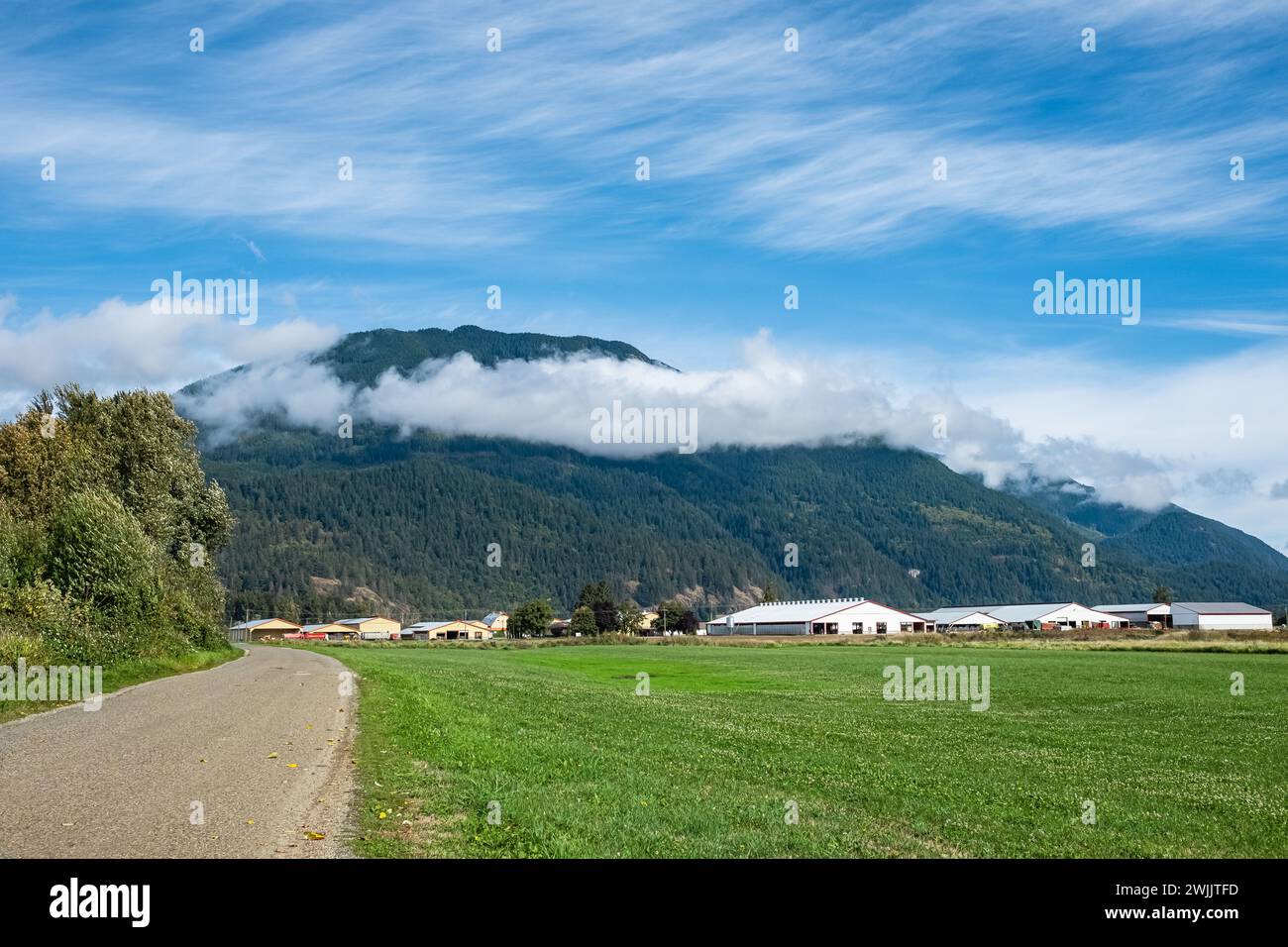 Canadian Farmland With Blue Cloudy Sky. Countryside Farm in the morning. Green agricultural field next to farm. Agriculture concept. Copy space for te Stock Photo