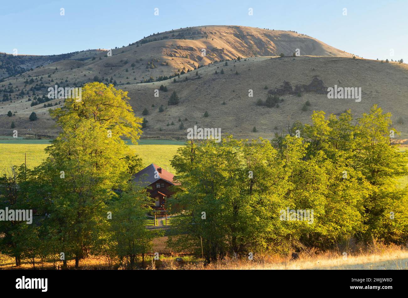 Wilson Ranch Retreat Bed & Breakfast, Wheeler County, Oregon Stock