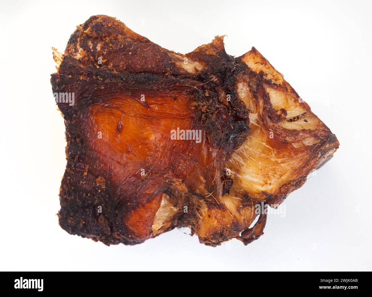 dried Beef knuckle dog bone chews and treats on white surface with copy space Stock Photo