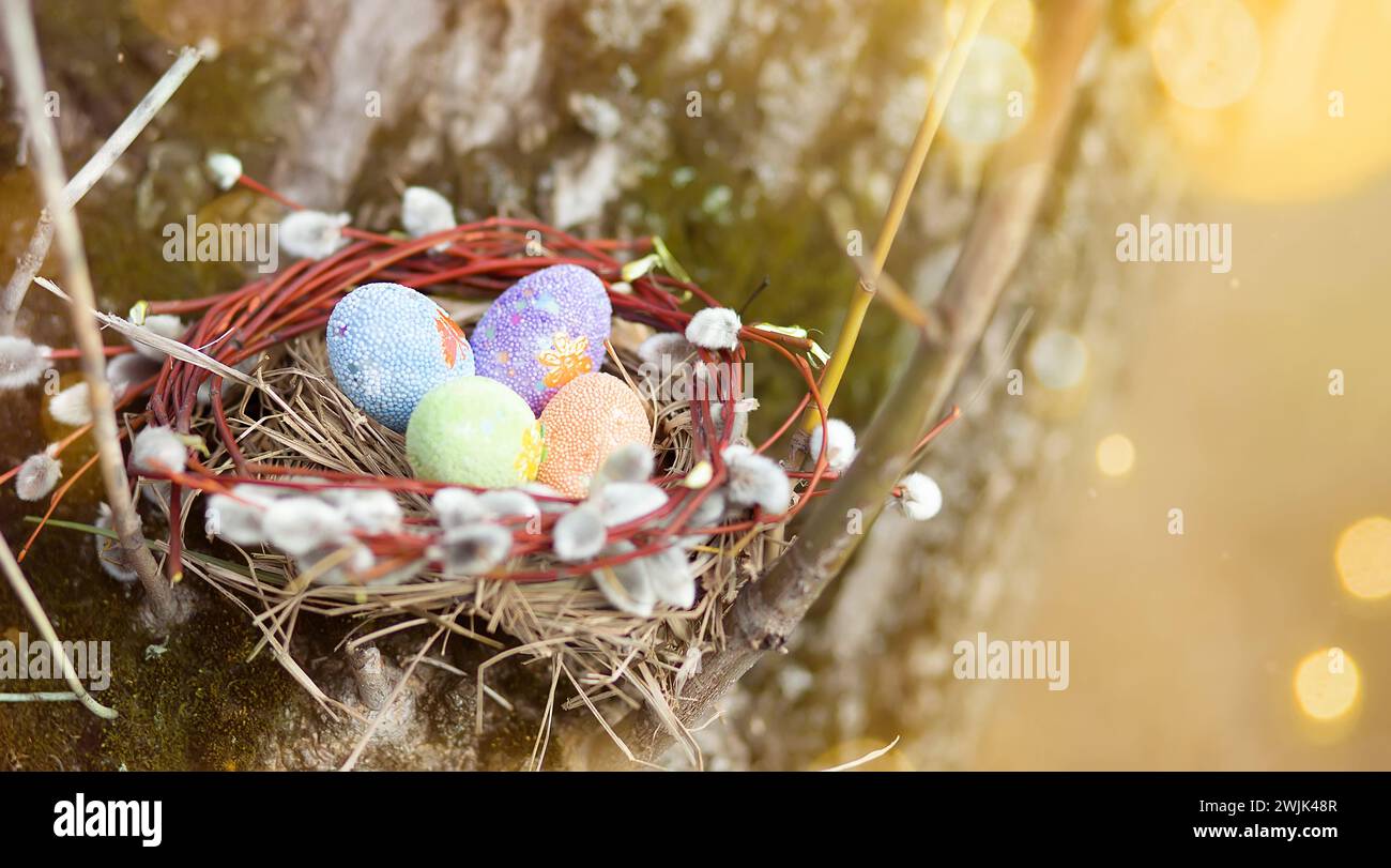 Colorful decorated easter eggs in the small nest of willow branches on ...
