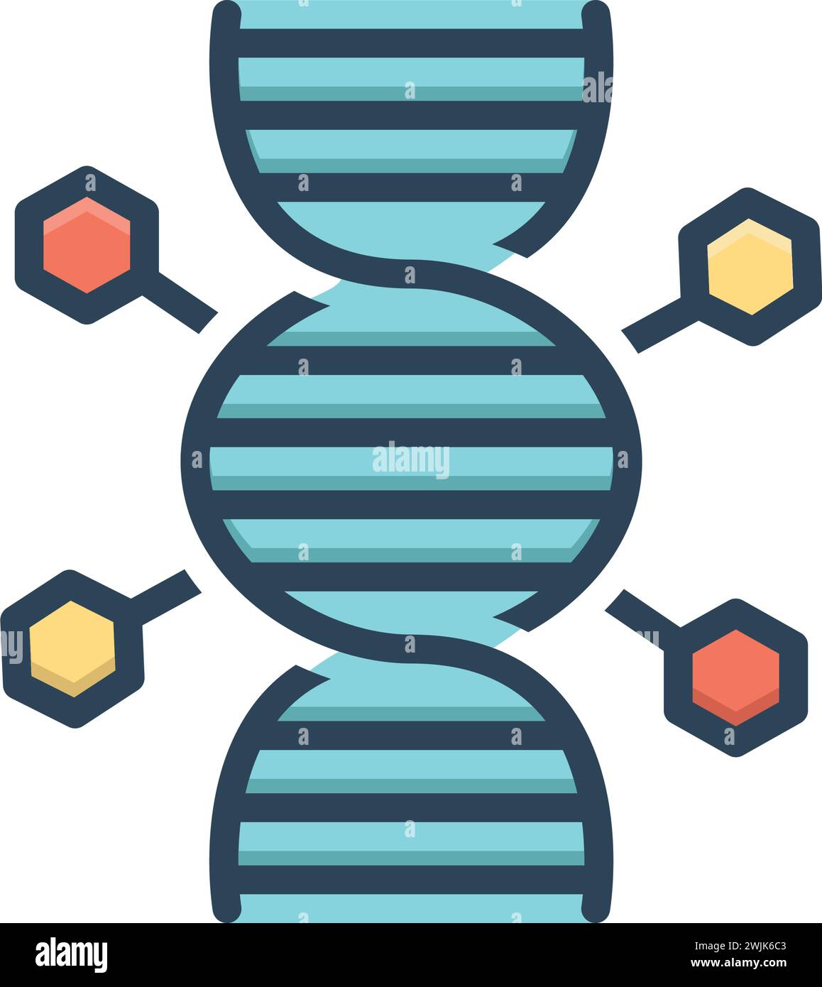 Heredity genetic code Stock Vector Images - Alamy
