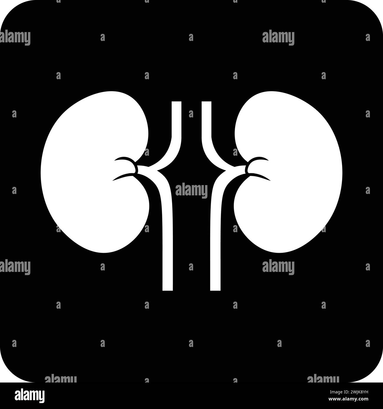 Kidney icon black and white fllat vector illustration Stock Vector
