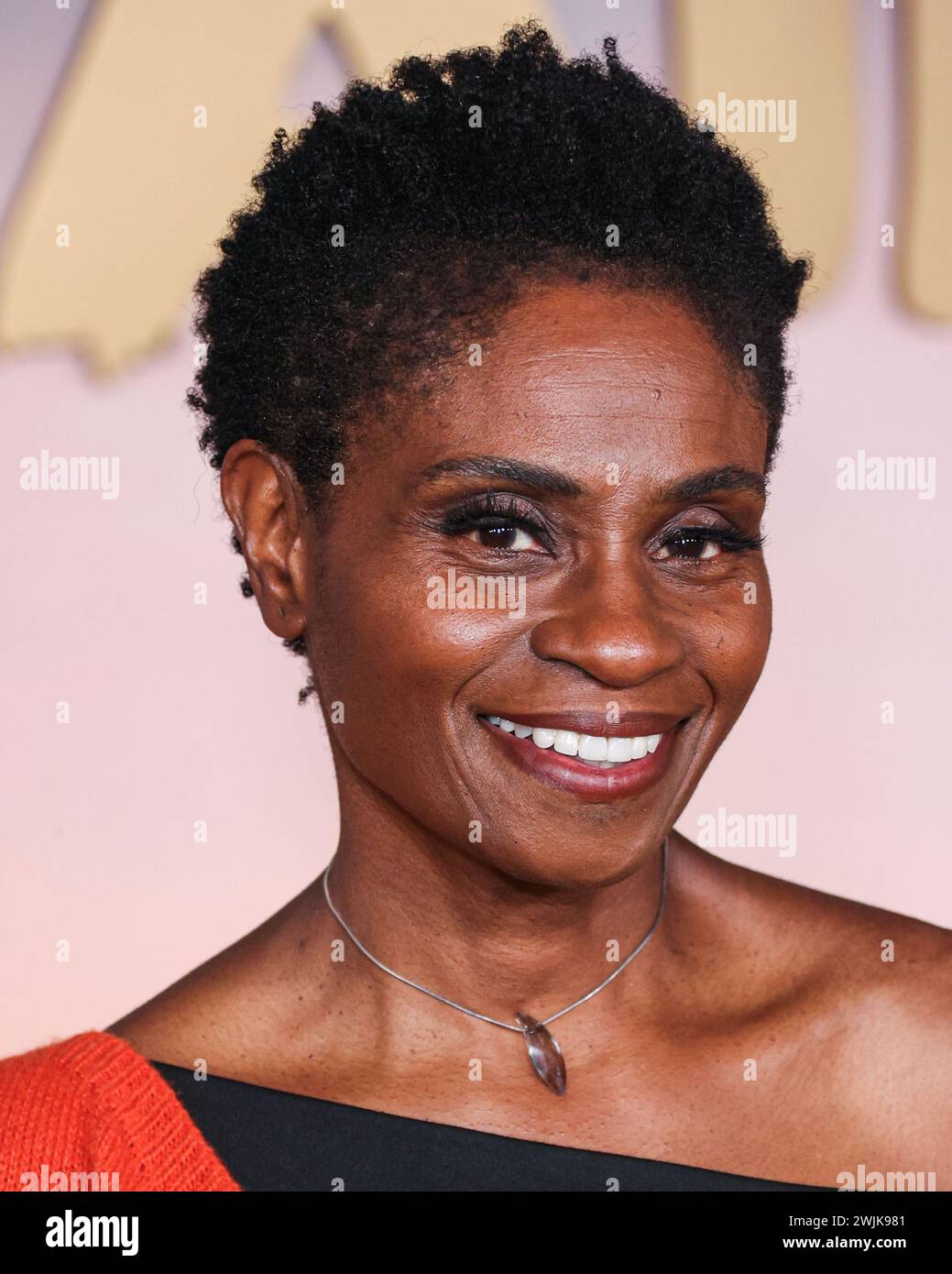 Hollywood, United States. 15th Feb, 2024. HOLLYWOOD, LOS ANGELES, CALIFORNIA, USA - FEBRUARY 15: Adina Porter arrives at the World Premiere Of Netflix's 'Avatar: The Last Airbender' Season 1 held at The Egyptian Theatre Hollywood on February 15, 2024 in Hollywood, Los Angeles, California, United States. (Photo by Xavier Collin/Image Press Agency) Credit: Image Press Agency/Alamy Live News Stock Photo