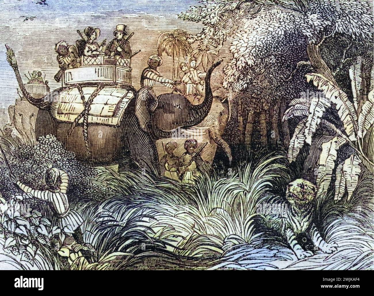 Jagd auf Tiger in Indien, 1860, Historisch, digital restaurierte Reproduktion von einer Vorlage aus dem 19. Jahrhundert, Record date not stated Stock Photo