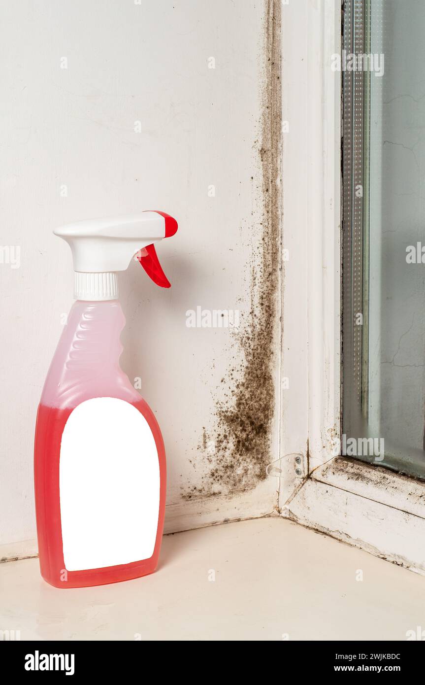 Fungus removal, black mold, window freezing problem in winter Stock Photo