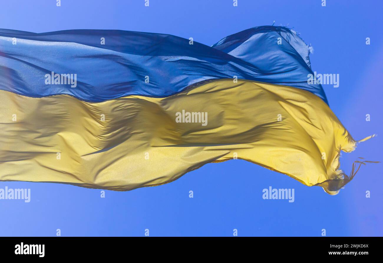Ukraine flag isolated on the blue sky with clipping path. close up waving flag of Ukraine. flag symbols of Ukraine. Stock Photo
