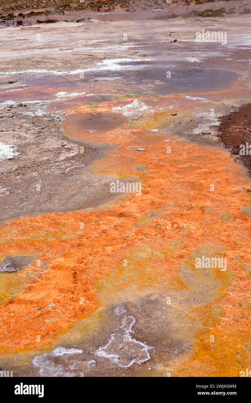 Extremophile archaea and cyanobacteria on a hydrothermal water in Tatio geysers, Atacama Desert, Chile. Stock Photo