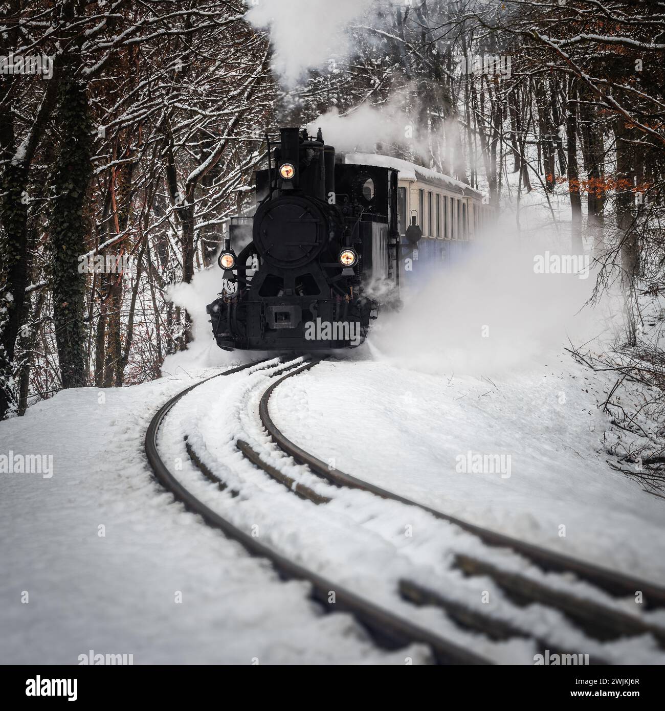 Budapest, Hungary - Beautiful winter forest scene with snowy forest and nostalgic steam tank engine train on the track in the Buda Hills near Huvosvol Stock Photo