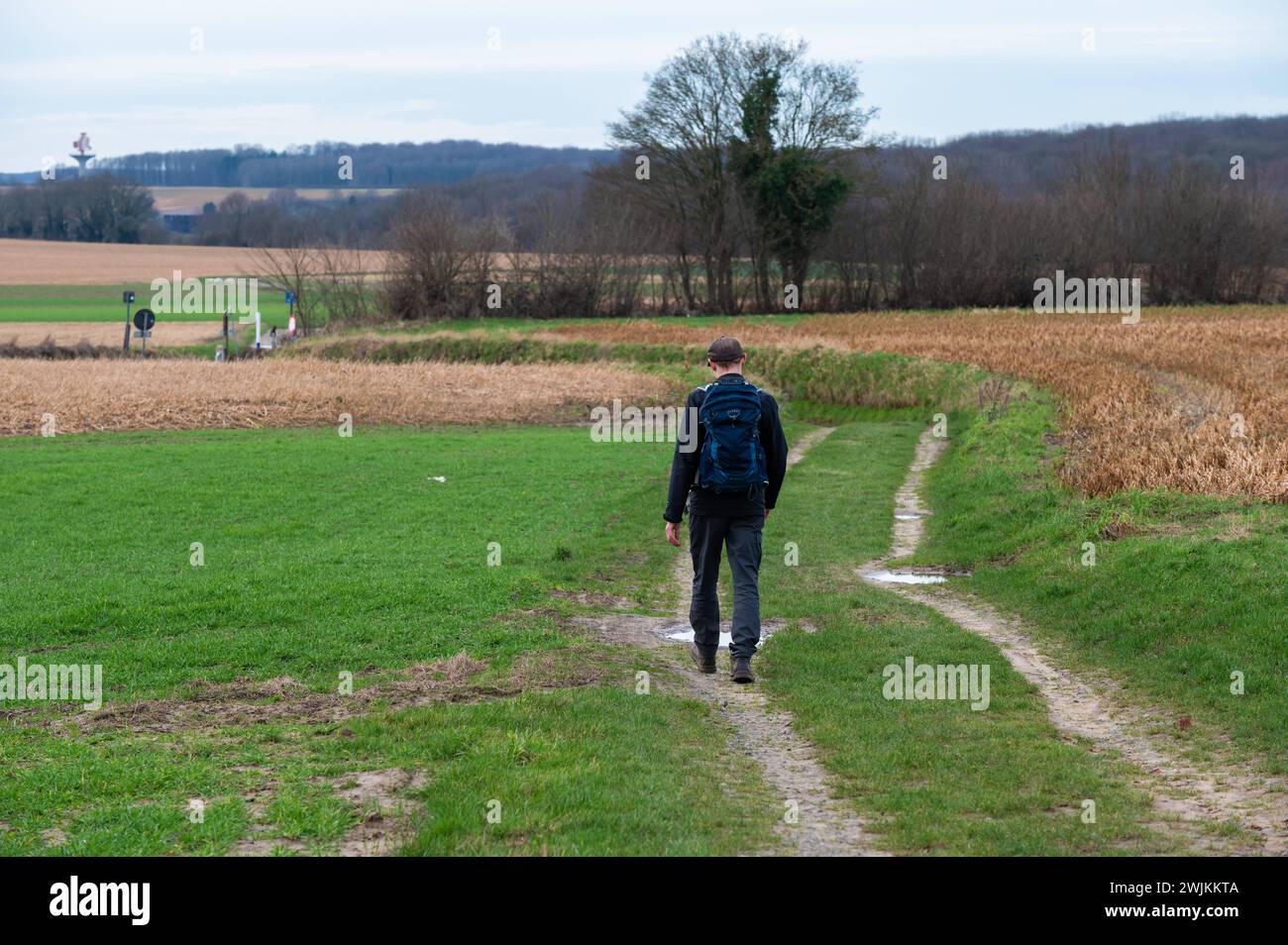 Herent, Flemish Brabant, Belgium, February 10, 2024 - Man walking through the green fields at the Flemish countryside Stock Photo