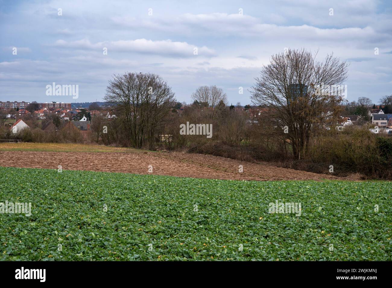 Green agriculture fields with the city in the background around Leuven, Flemish Brabant, Belgium Stock Photo