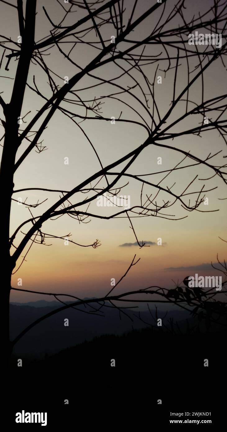 A silhouetted trees against a colorful sunset sky with cloud formations ...
