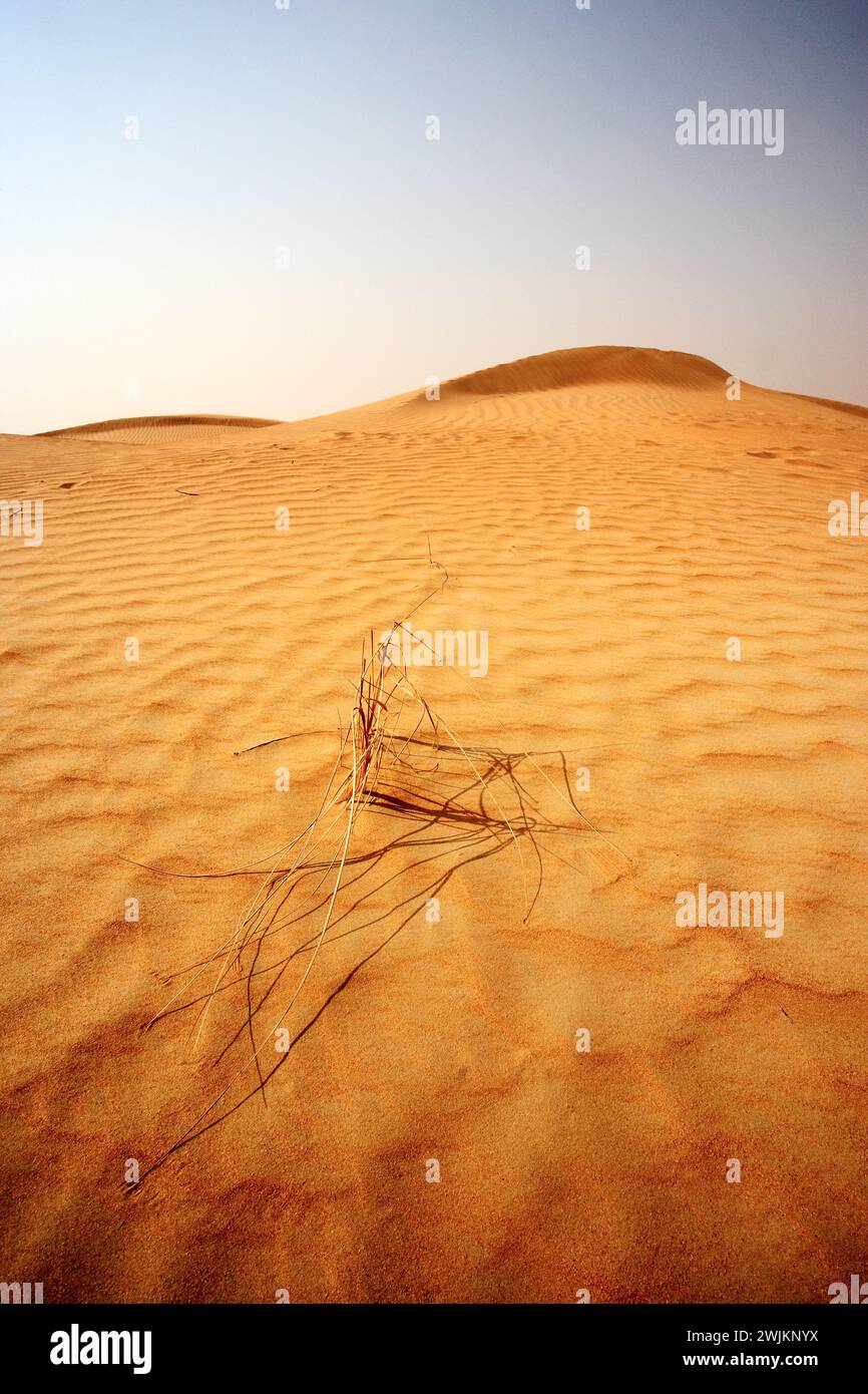 Arid land in United Arab Emirates Stock Photo