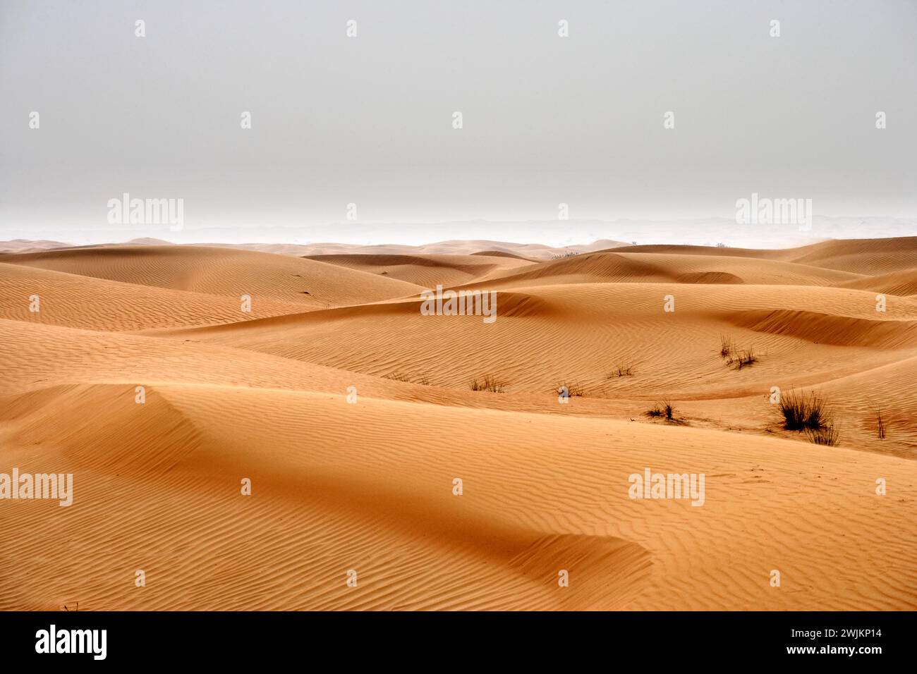 Sand dunes in United Arab Emirates Stock Photo - Alamy
