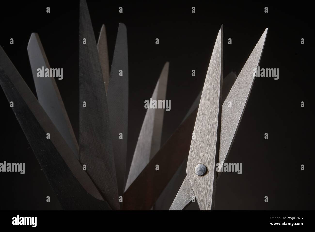 Everyday supplies hi-res stock photography and images - Alamy