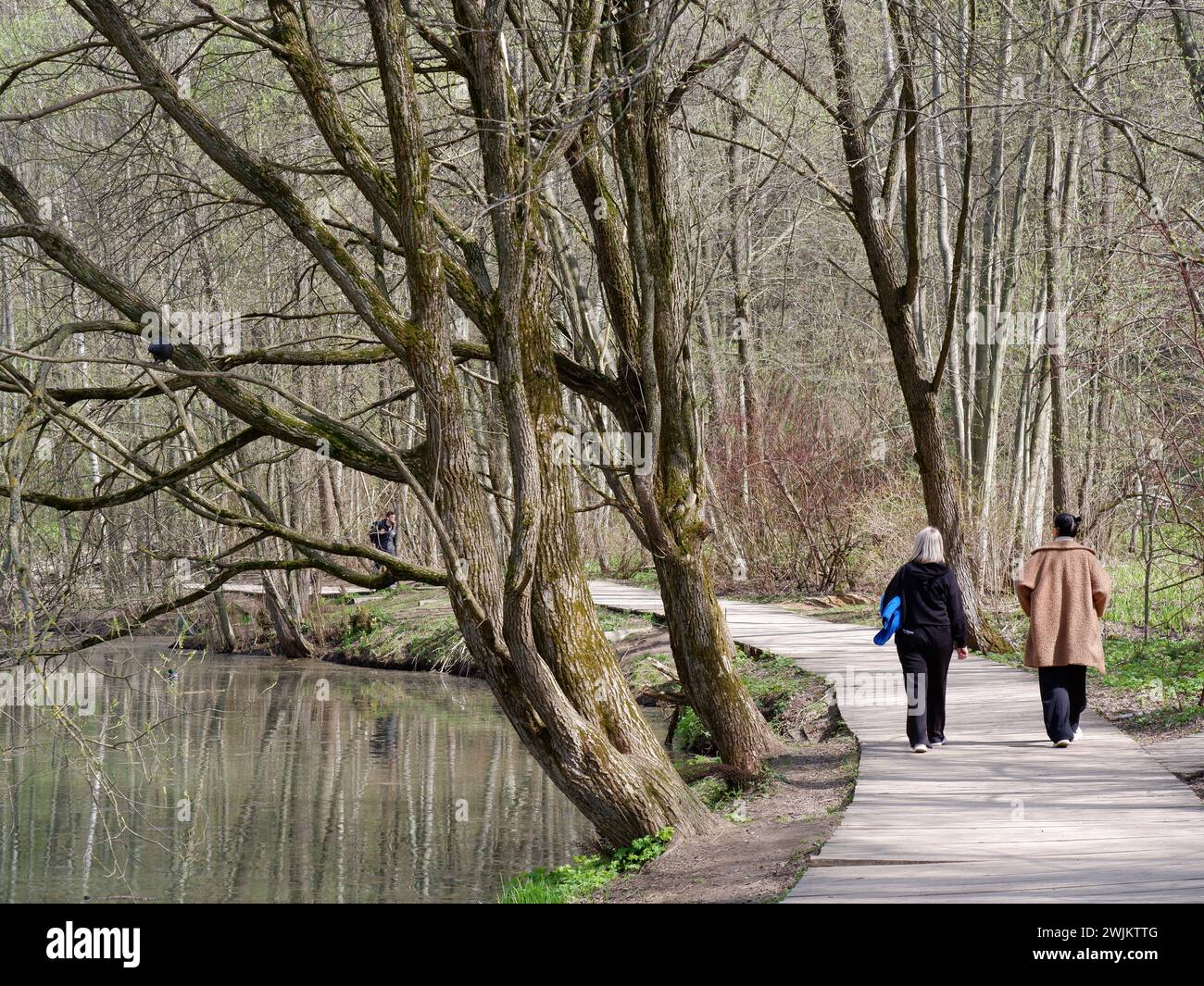 Women walking along a path with willows. Stock Photo