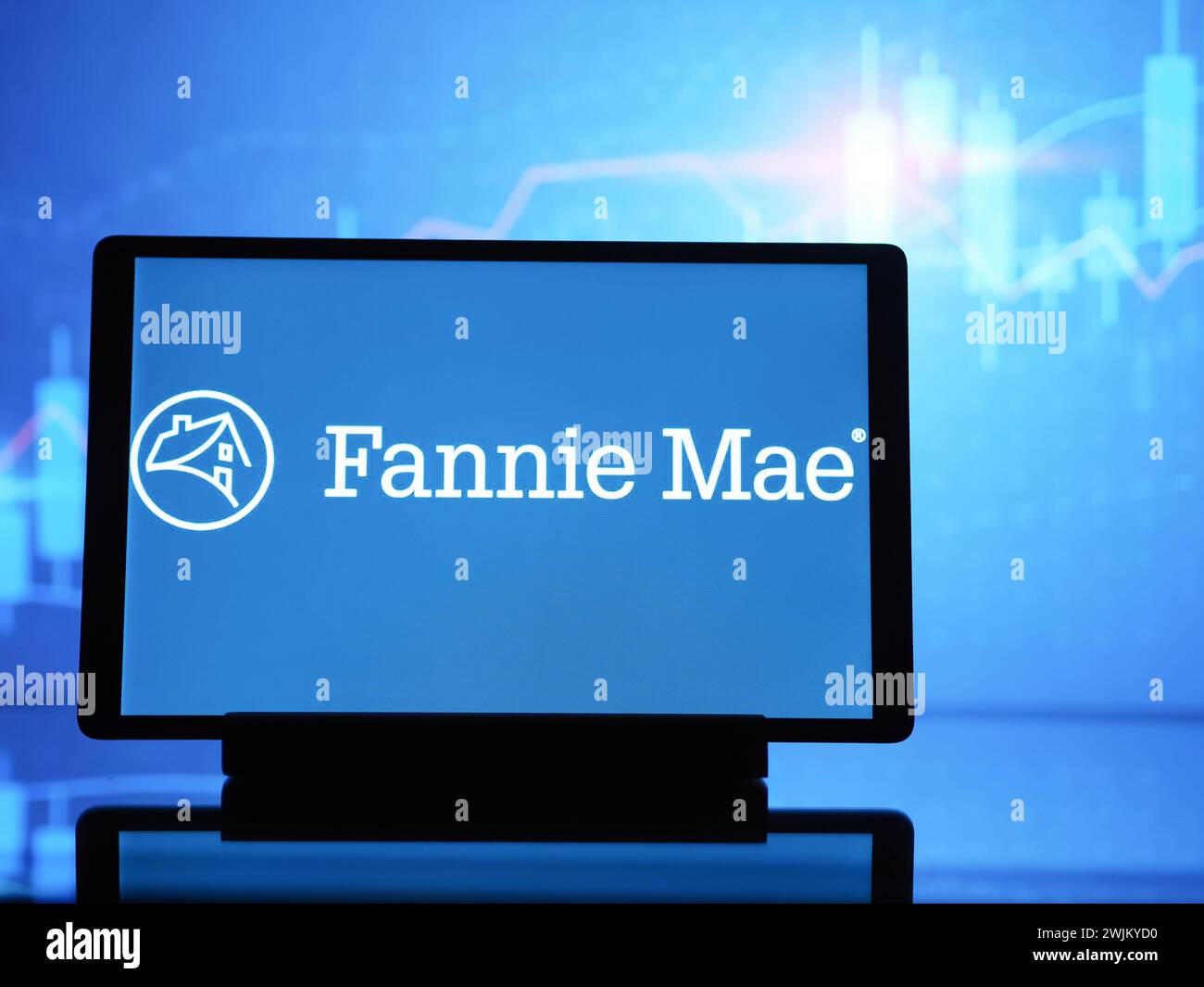 Germany. 15th Feb, 2024. In this photo illustration, Fannie Mae (Eigentlich Federal National Mortgage Association, FNMA) logo seen displayed on a tablet. Credit: SOPA Images Limited/Alamy Live News Stock Photo