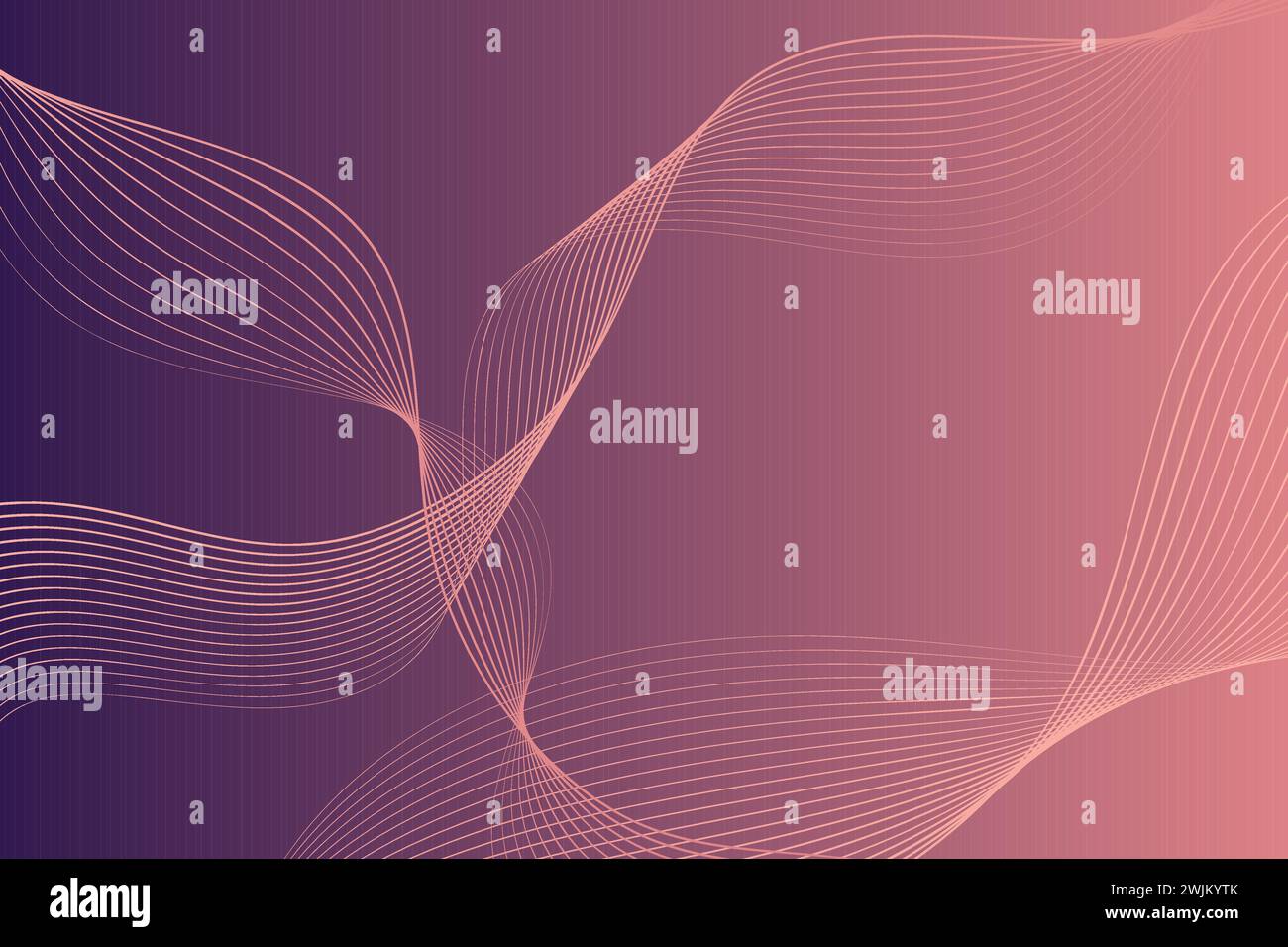 Vibrant purple and pink background with wavy lines Stock Vector Image ...