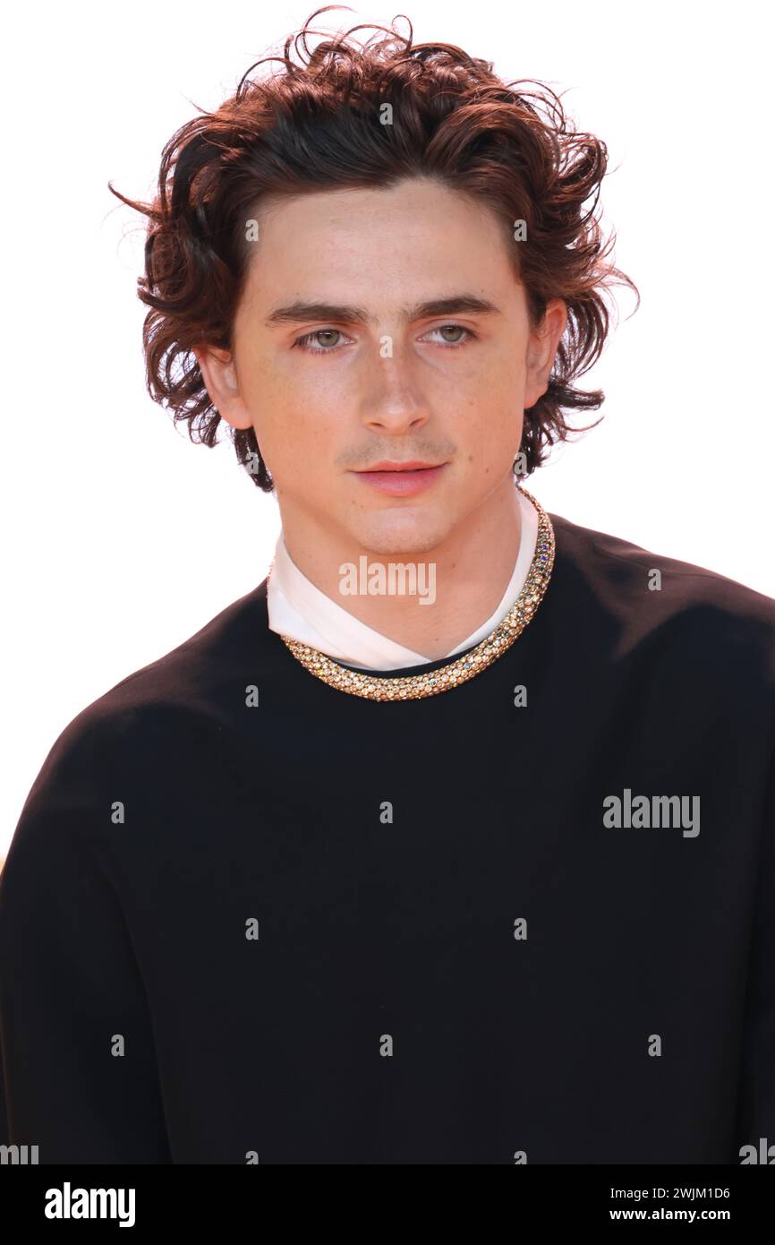 Timothee Chalamet, Warner Bros. Pictures & Legendary Present the World ...