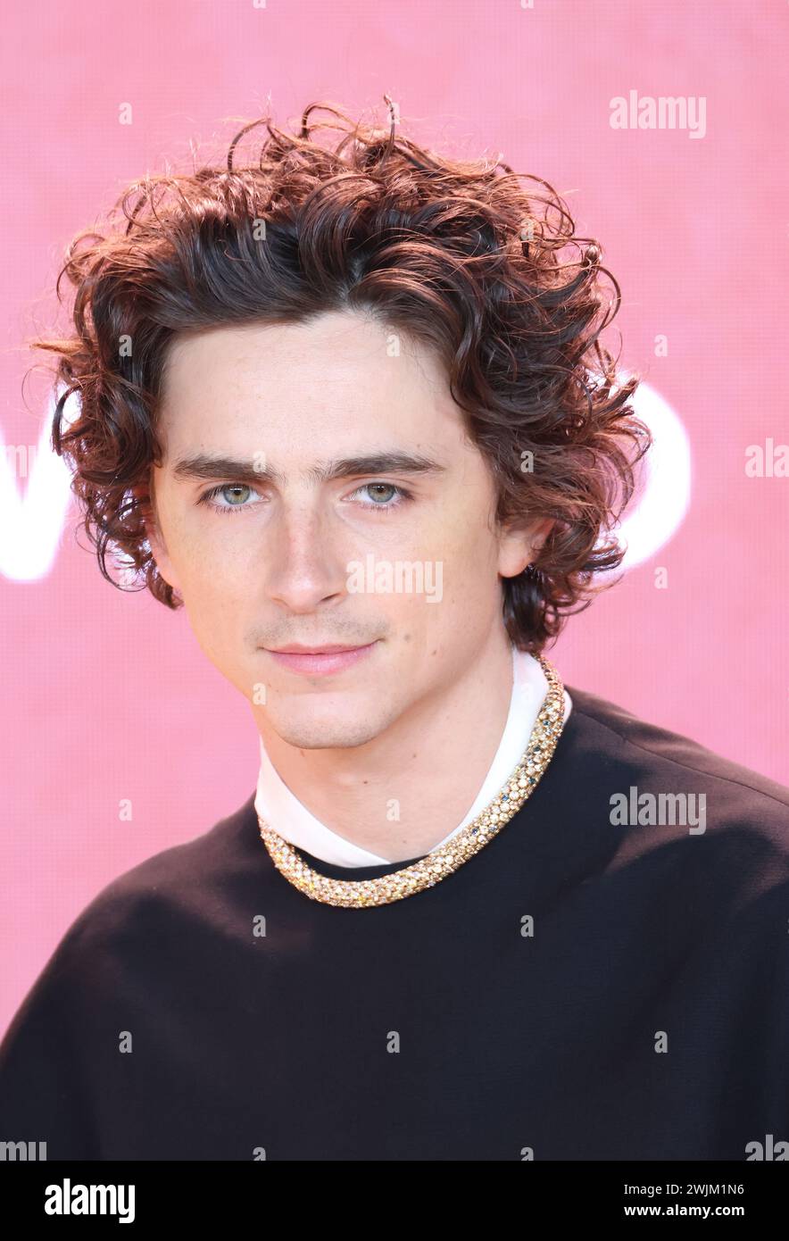 Timothee Chalamet, Warner Bros. Pictures & Legendary Present the World