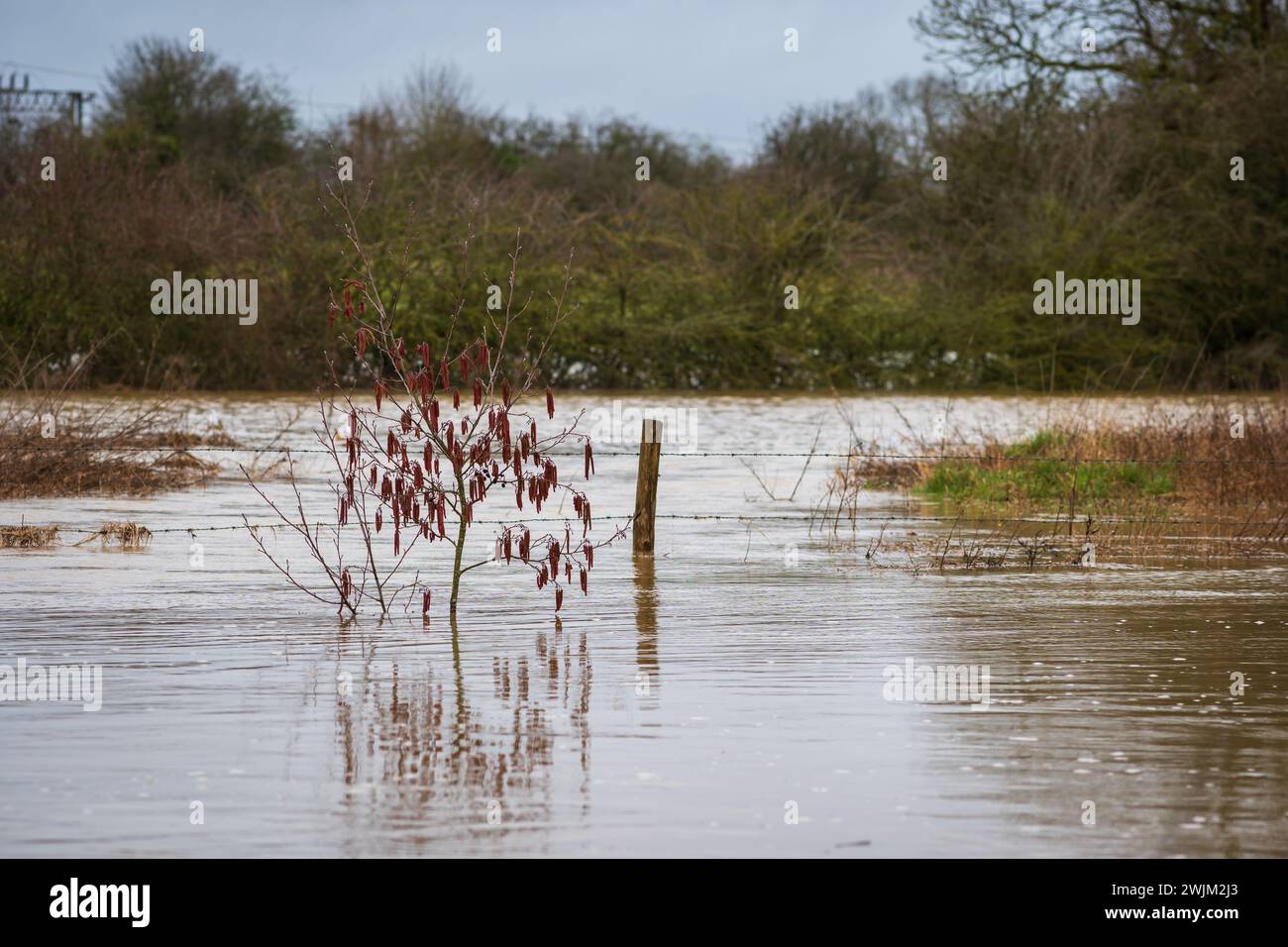 Nene river flooding during heavy rains in Northampton England UK Stock ...