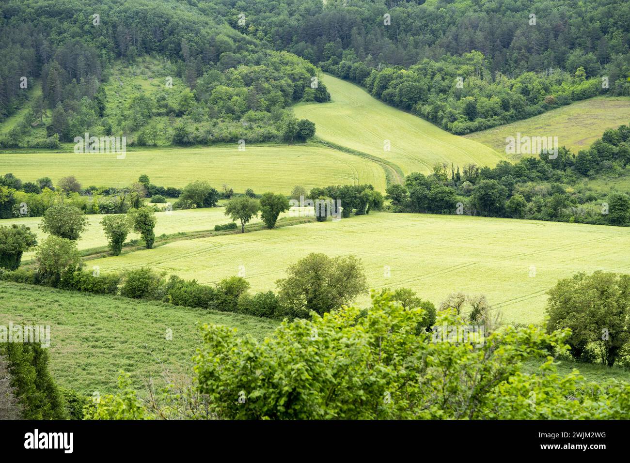 Cultivated fields in a mountainous area Stock Photo