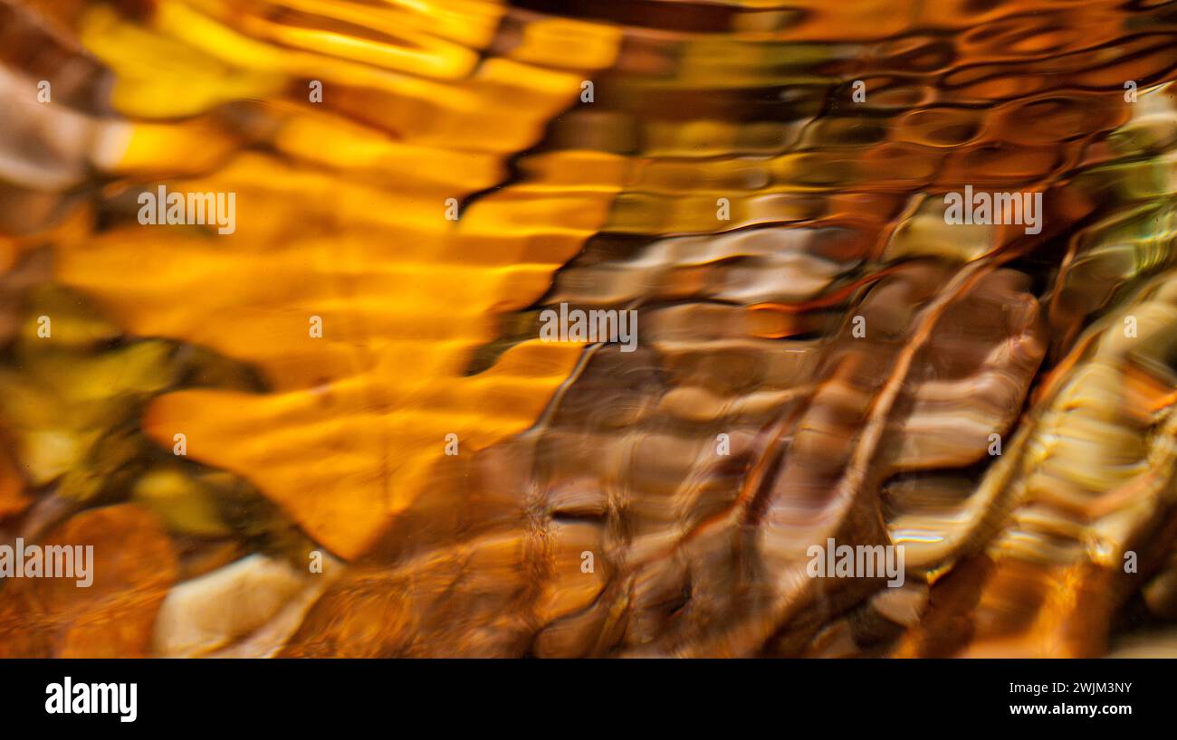 River Water Blurred Leaves Abstract Background Stock Photo