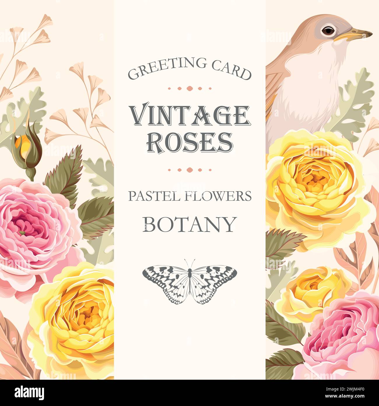 Greeting card with roses Stock Vector Image & Art - Alamy
