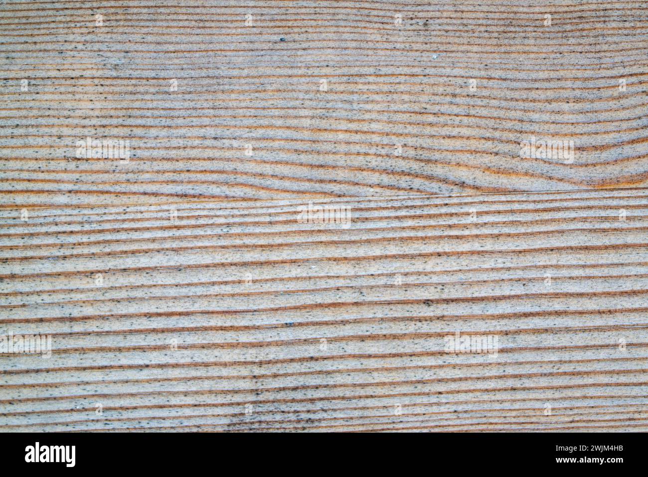 texture of a carpet background Stock Photo