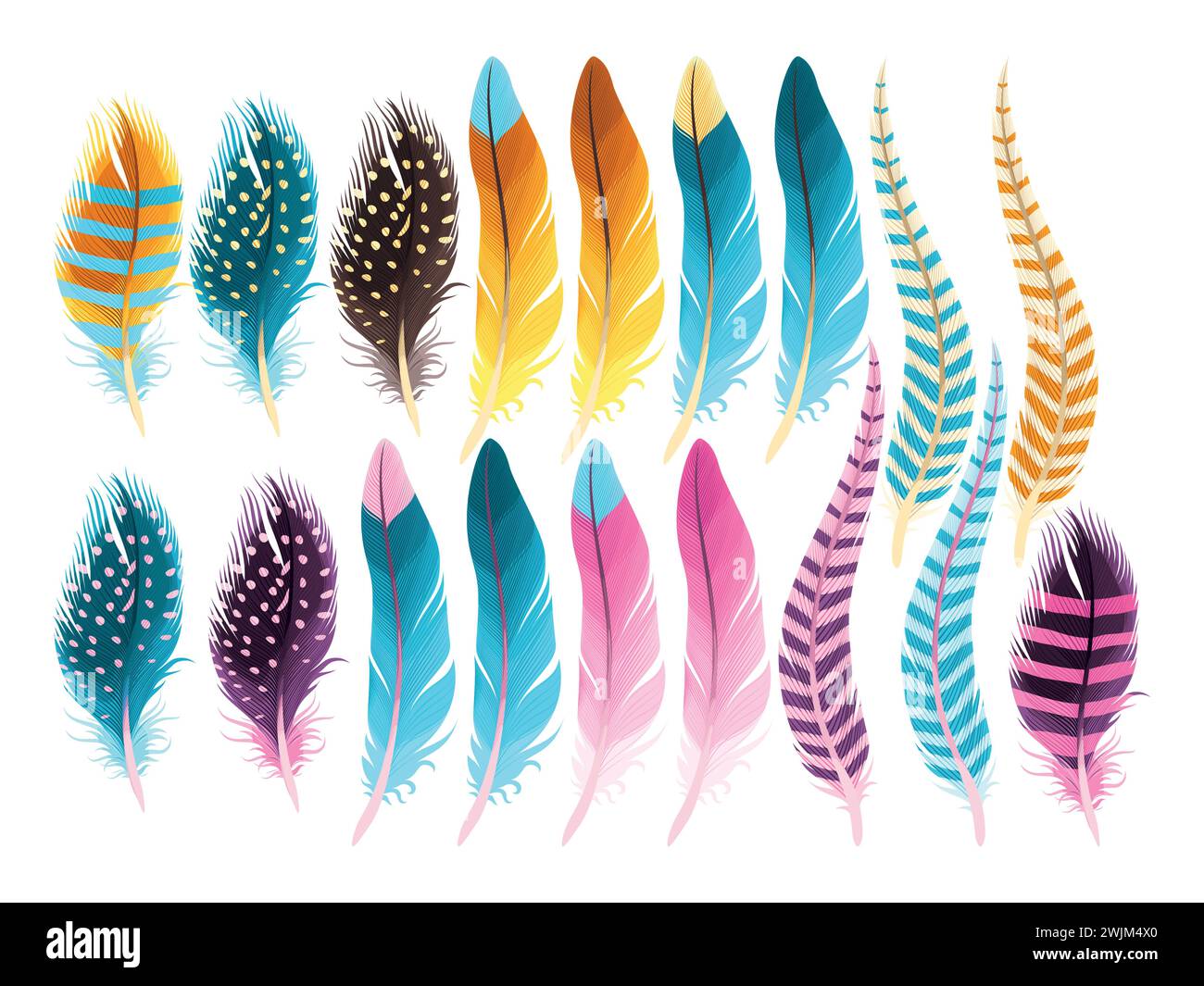 Set of feathers Stock Vector Image & Art - Alamy