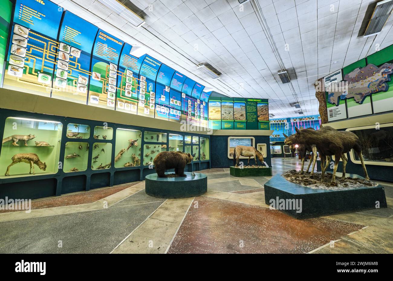 An overview look at the gallery, display, exhibit space with large flow charts of biological systems. At the Biological Museum on the campus of Al-Far Stock Photo