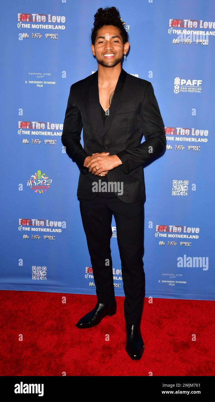 Los Angeles, Ca. 15th Feb, 2024. Jahking Guillory at the 32nd Annual Pan African Film & Arts Festival Centerpiece Screening And World Premiere Of 'For The Love Of The Motherland' at the Directors Guild of America in Los Angeles, California on February 15, 2024. Credit: Koi Sojer//Media Punch/Alamy Live News Stock Photo