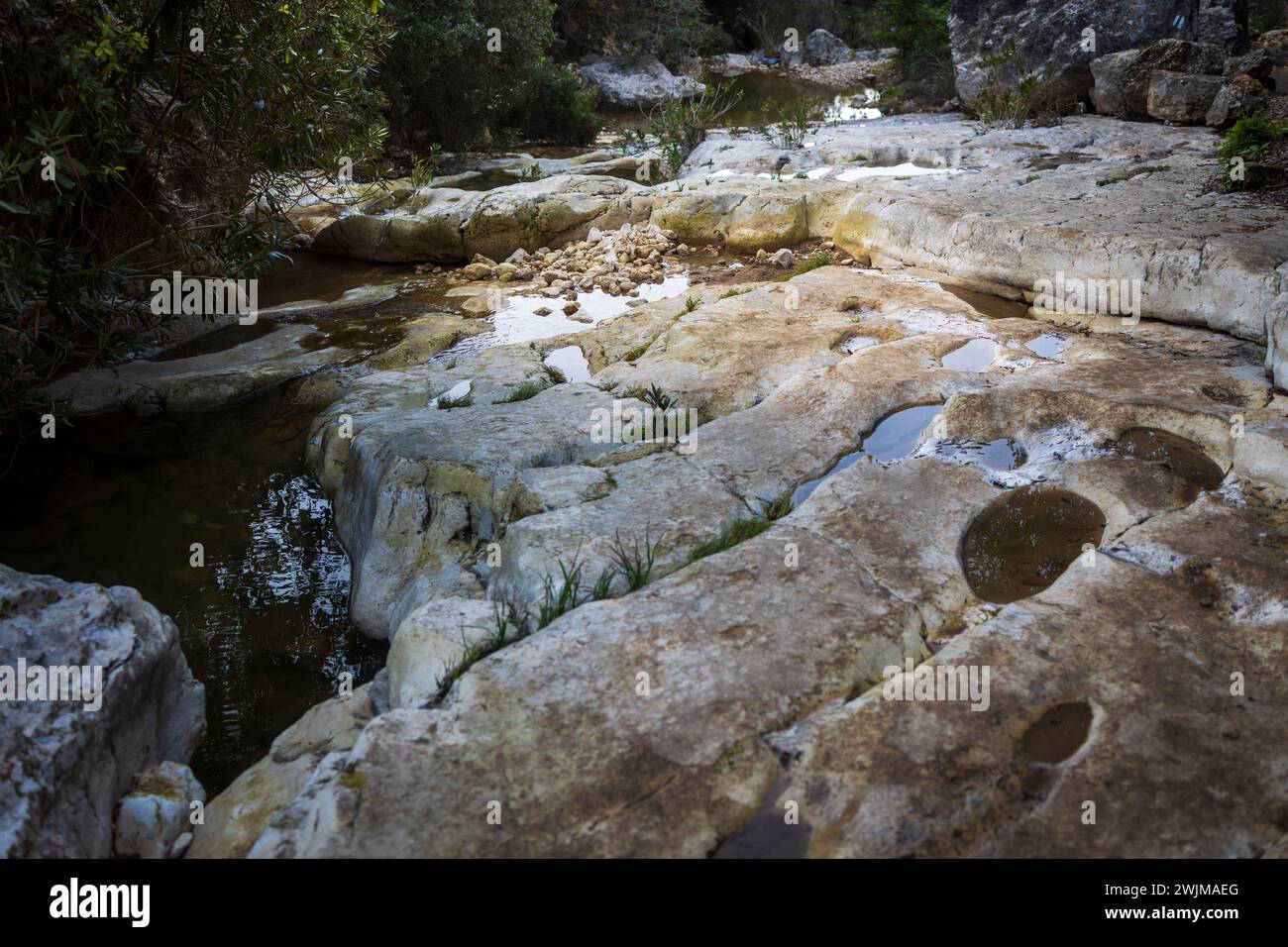 The mouth of the Oren stream on Mount Carmel in Israel with natural ...